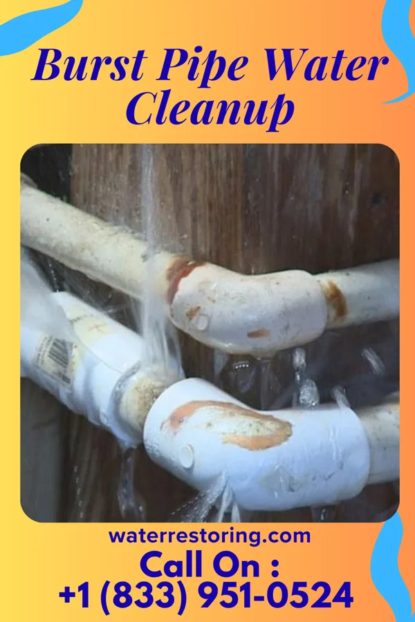 Burst Pipe Water Cleanup in Mena, AR
