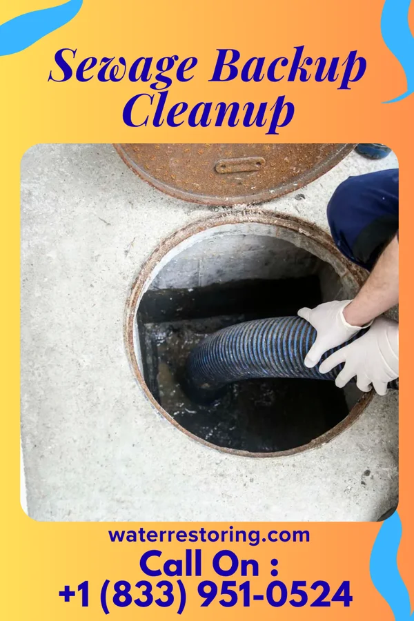 Sewage Backup Cleanup in Mena, AR